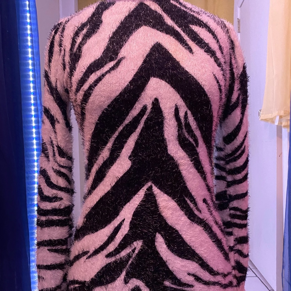Zebra Stripe Sweater